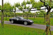 Le Jaguar nella zona del Prosecco e Cartize (105/152)